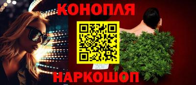 spice Кингисепп