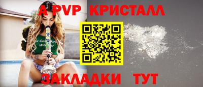 spice Кингисепп