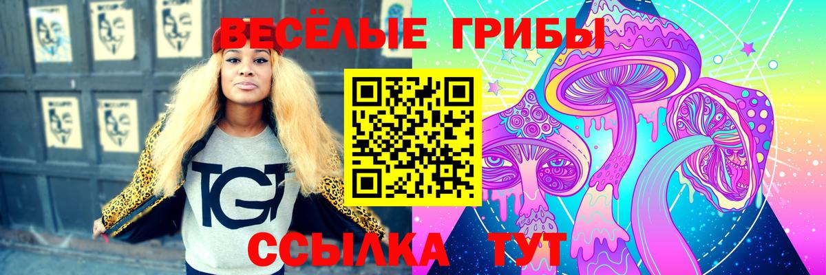 Псилоцибиновые грибы Cubensis  Псилоцибиновые грибы GOLDEN TEACHER  где продают   Кувандык  Вход с VPN 